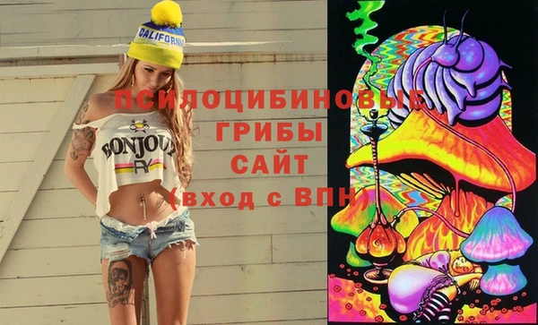мдпв Дрезна