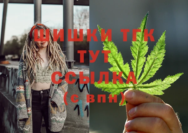 ешки Дубна