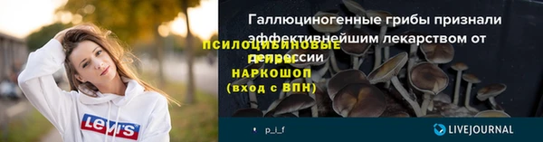 хмурый Балахна
