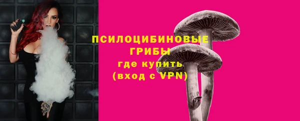 спиды Арсеньев